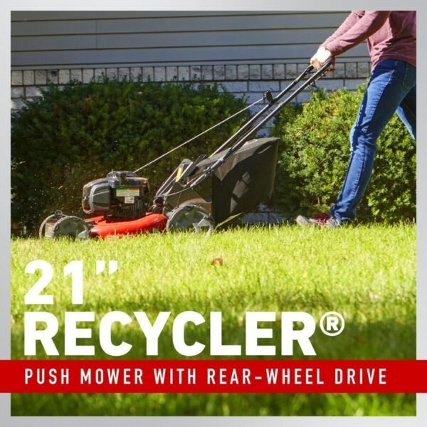 janazoon-product-175-image-5.jpeg janazoon-product-175-image-5.jpeg