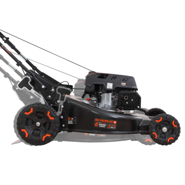 janazoon-product-176-image-2.png janazoon-product-176-image-2.png